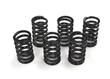 Clutch Springs<br> KLR650 All Years SCH-2012-329